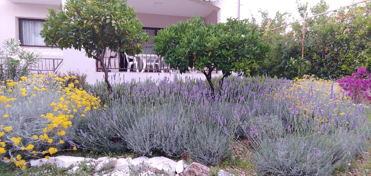 Holiday Home Ruzmarin تروغير المظهر الخارجي الصورة