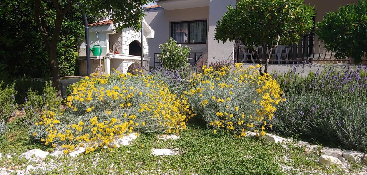 Holiday Home Ruzmarin تروغير المظهر الخارجي الصورة